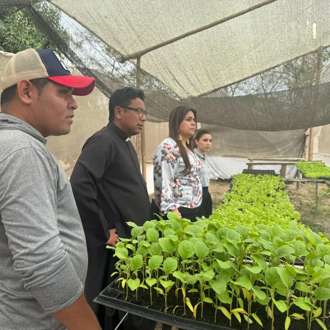 Servicio de alimentación